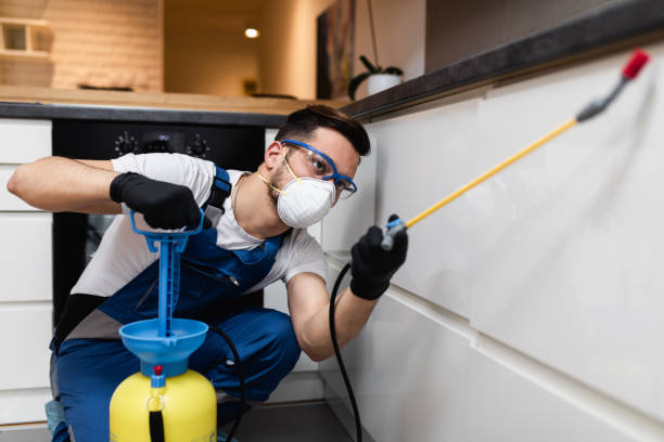Reliable Kenedy, TX Pest Control Solutions