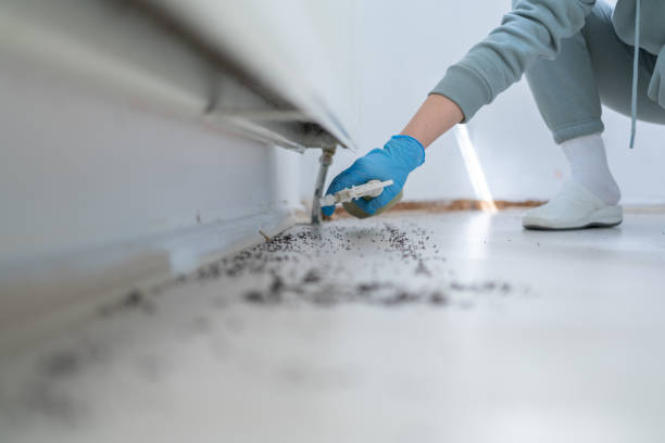 Professional Pest Control in Kenedy, TX